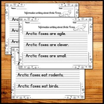 Arctic Fox Informative Sentence Writing Practice Worksheets With True Facts