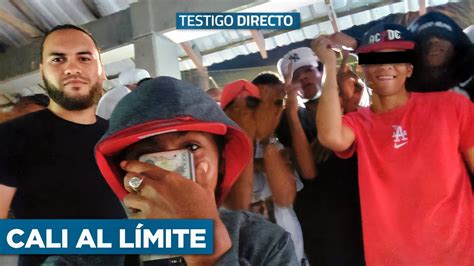 Testigo Directo Revela Los Secretos De Las Pandillas M S Temidas De