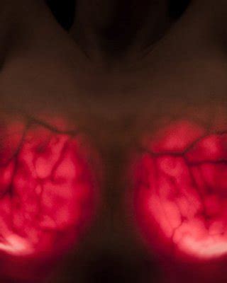 Boobs With Veins Porn Pictures XXX Photos Sex Images PICTOA