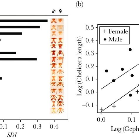 A Interspecific Variation In The Sexual Dimorphism Index Sdi For Download Scientific