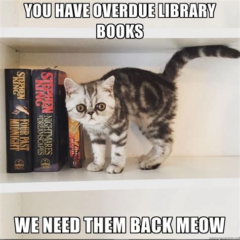 You Have Overdue Library Books We Need Them Back Meow Marbles With