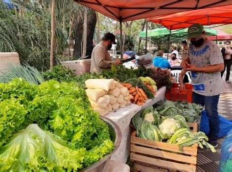 Experiencia agroecológica y musical en Plaza Italia este sábado