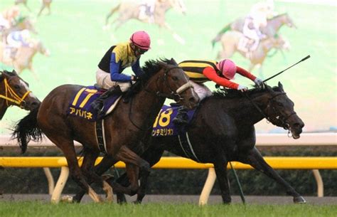 サンテミリオン 17歳で死ぬ 10年オークスで史上初のg1同着優勝― スポニチ Sponichi Annex ギャンブル