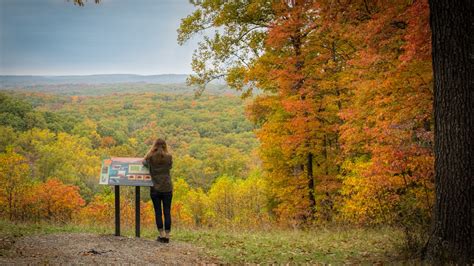 Keep Track Of Indianas Fall Foliage With The Brown County Leaf Cam