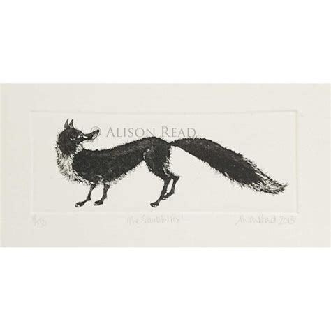 Beautiful Fox Etching By Alison Read