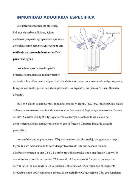 Resumen Cap Tulo Inmunolog A Fundamentos Roitt T Delves S Martin