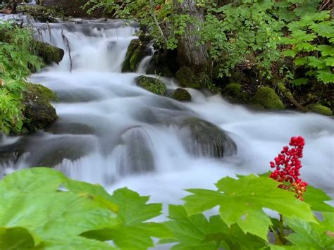 Alaska Photography Day Tour | Alaska Photo Treks