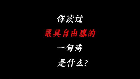 所以你读过最具自由洒脱的一句诗是什么？ Wink 顺 观念 哔哩哔哩视频