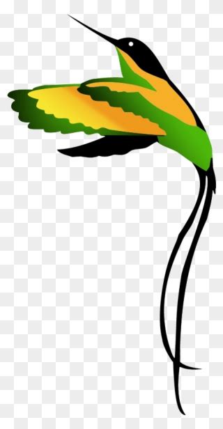 Jamaican National Bird Clipart Drawing Jamaican National Bird Drawing