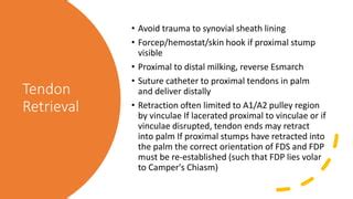 Flexor Tendon Injuries Ppt