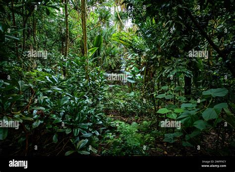 Masoala Rainforest Zoo Zurich Stock Photo - Alamy