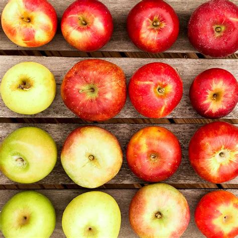 Apple Varieties Comparison Chart