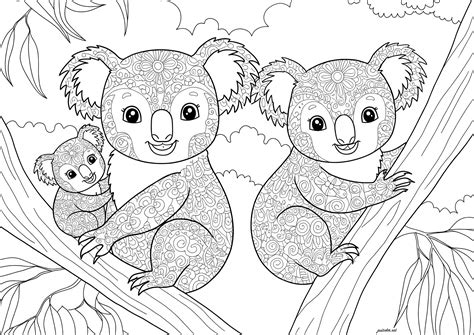 Famiglia di koala, con disegni da colorare - Pagine Koala da Colorare