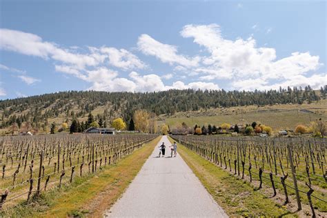 Upper Bench Winery And Creamery Naramata Bench Wines