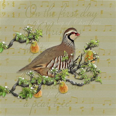 Partridge In A Pear Tree Mixed Media By Leslie Wing Fine Art America