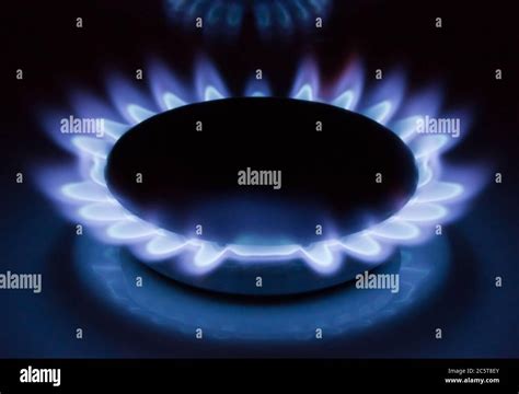 Blue Flames Of A Burning Natural Gas Gas Cooker In Action Stock Photo