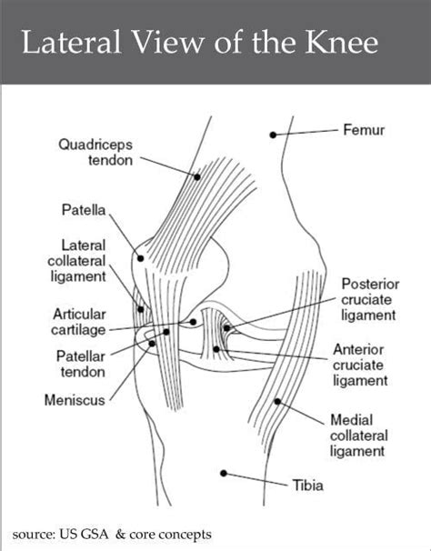 ACL Injury or Menicus Tear - The Buckling Knee