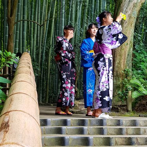 Вся Япония — Фотографировал бамбуковые перила, а тут девушки в...