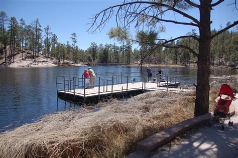 Rose Canyon Lake Campground Desde 424 Mount Lemmon Arizona