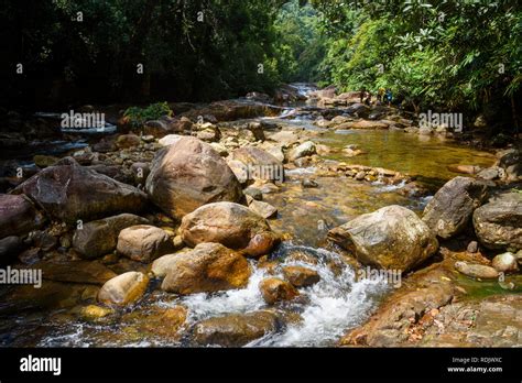 Kallar River Near Meenmutty Falls Ponmudi Hills Kerala India Stock