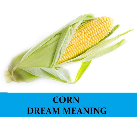 Corn Dream Meaning Top 20 Dreams About Corn Dream Meaning Net