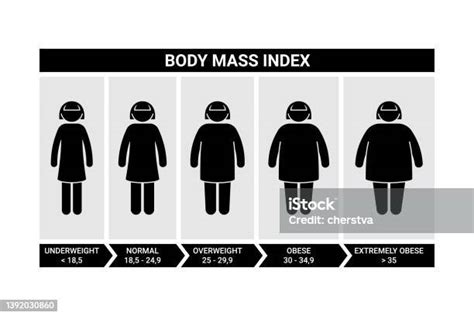 Ilustración De Figura De Palo Índice De Masa Corporal De La Mujer