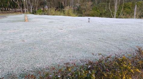 Onda de frio pode ser uma das mais intensas neste século no Brasil