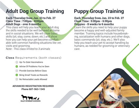 Puppy & Adult Dog Training | Valley Veterinary Associates