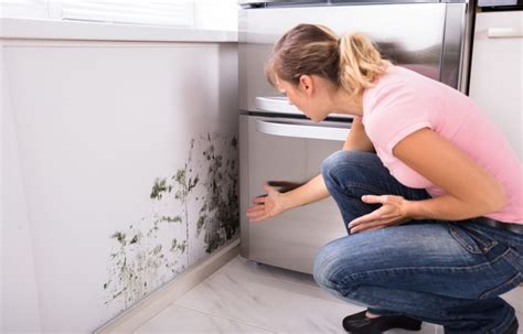 Is There Mold In My House Tell Tale Signs And How To Get Rid Of It