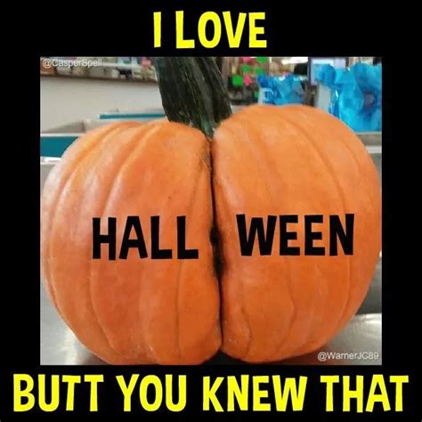 25 Funny Pumpkin Memes, Puns & Jokes For Sharing