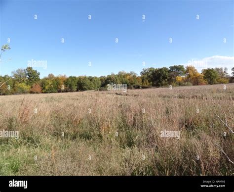 Usfwsmtnprairie 8249515989 Late Summer Foliage Marais Des Cygnes