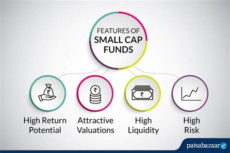 Best Small Cap Mutual Funds To Invest In 2024 Uk Debi Mollie