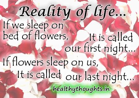 Bed of Roses Quotes. QuotesGram