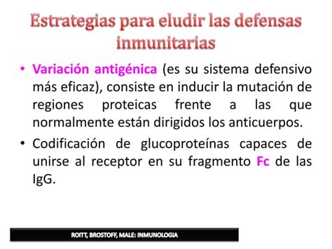 Inmunidad Frente A Virus Bacterias Hongos Ppt