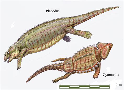 Triassic Animals Discover The Animals That Lived In The Triassic Period