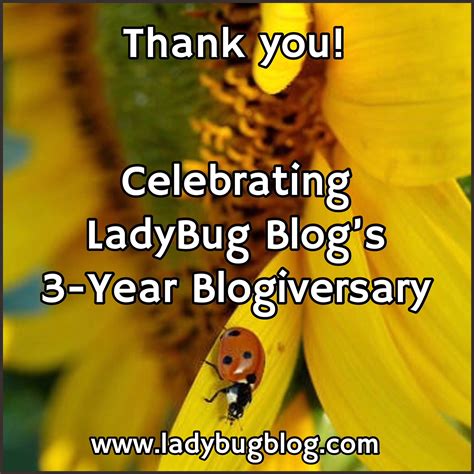 Celebrating LadyBug Blog’s 3-Year Blogiversary | LadyBug Blog
