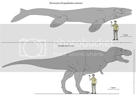 Tierra Jurásica: Mosasaurus vs Tylosaurus