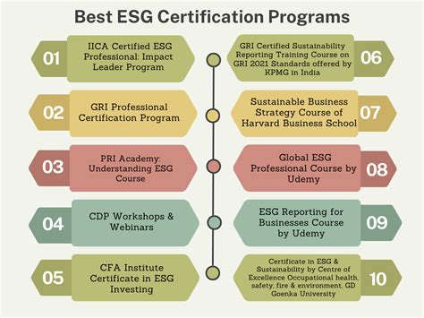 Los 10 Mejores Programas De Certificación Esg Para Profesionales Sigma Earth