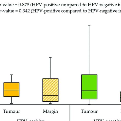 The Relative Expression Levels Of Tested Mirnas In Tumour Samples