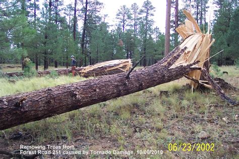 Arizona Tornado Outbreak – October 6, 2010 – Tornado Talk