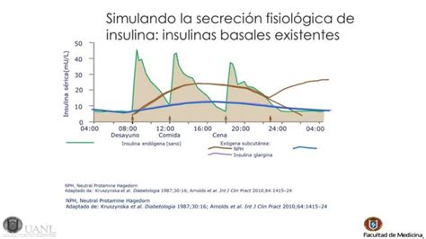 Redefiniendo La Eficacia Y Otros Beneficios De Las Nuevas Insulinas