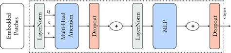 The architecture of the Vision Transformer. | Download Scientific Diagram