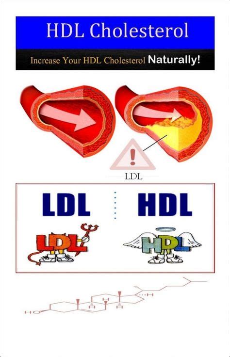 How To Improve Hdl Level Cholesterol Lower Ldl Cholesterol Hdl