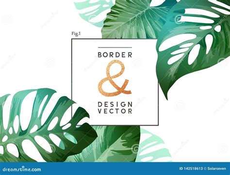 Tropical Botanical Frame Layout Design Stock Vector Illustration Of