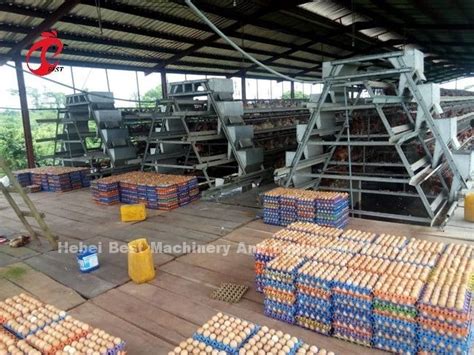 Anti Rust Poultry Layer Cage For Egg Laying Hens With 25 Years Lifespan