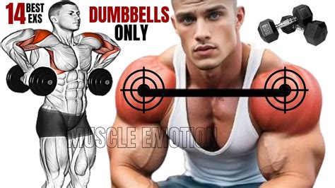 14 Best Shoulder Workout With Dumbbells Only At Home Or At Gym Meilleurs Exs Musculation