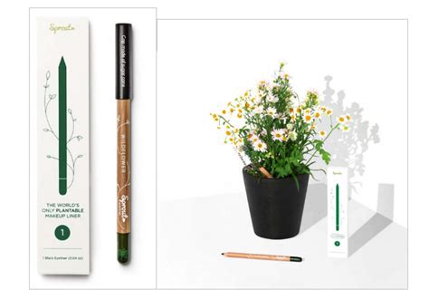 Le Crayon De Maquillage Planter Sproutworld Beautytricks