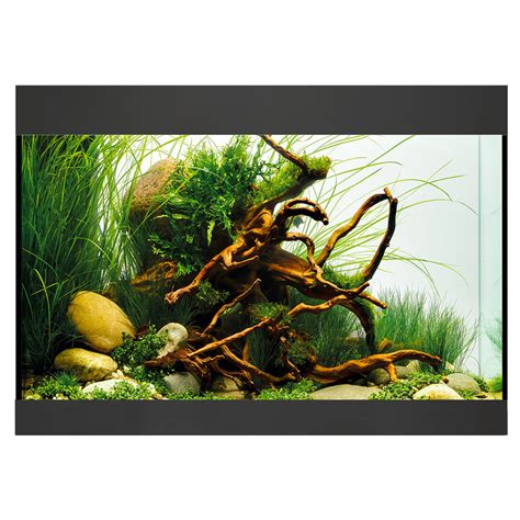 Oase Styleline Aquarium Set Mit Led Und Filter Aquarien