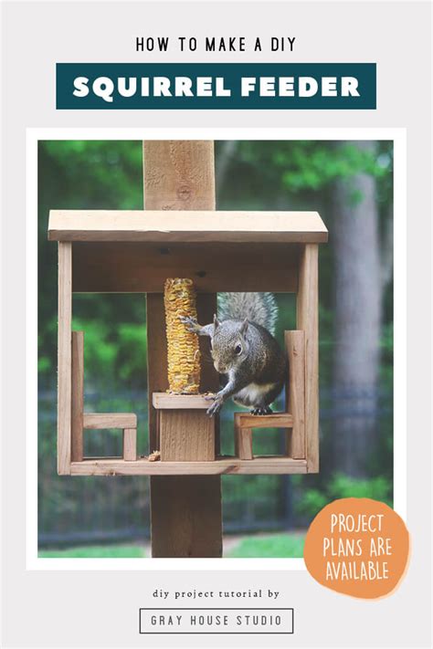 Squirrel Corn Cob Feeder DIY | Gray House Studio