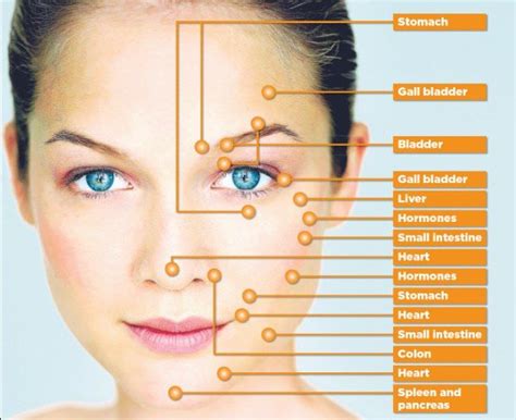 Acne Face Map and Its Explanation